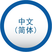 中国語（簡体）